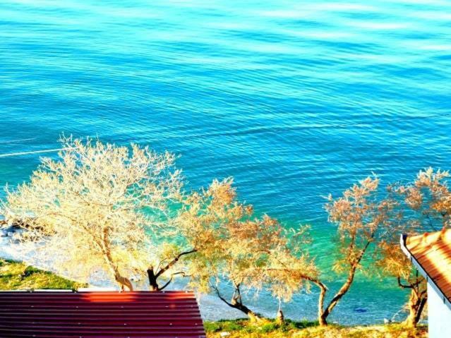 Littlevenice Appartme 50M From Sea Трогир Экстерьер фото